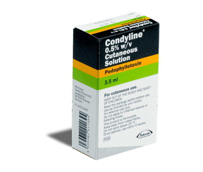 condyline